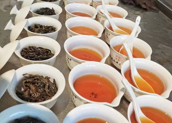 Heißer oder kalter Oolong-Tee mit Blütenaroma für die Zubereitung von Suggestionen
