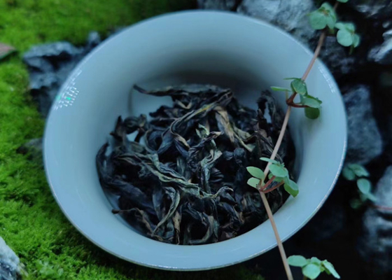 Wuyi-Steintee