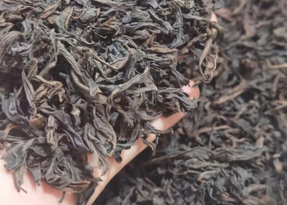 Oolong-Tee, der fetthaltige Blütengeschmack zersetzt