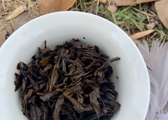 100°C Brauttemperatur zeigt die fruchtige Essenz von Pu Erh Tee